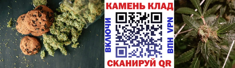 мега как войти Томари Печенье с ТГК конопля даркнет сайт