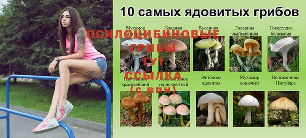 марки lsd Инсар