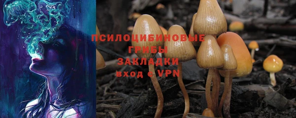 марки lsd Инсар