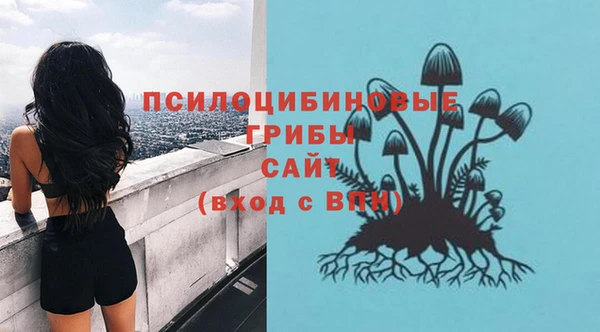марки lsd Инсар